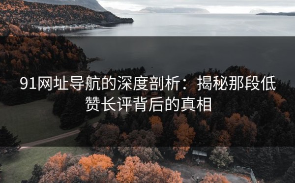 91网址导航的深度剖析：揭秘那段低赞长评背后的真相