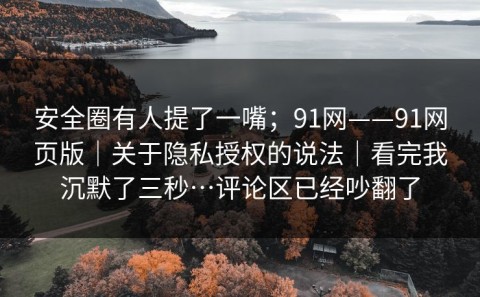 安全圈有人提了一嘴；91网——91网页版｜关于隐私授权的说法｜看完我沉默了三秒…评论区已经吵翻了