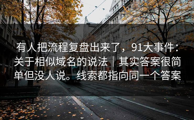 有人把流程复盘出来了，91大事件：关于相似域名的说法｜其实答案很简单但没人说。线索都指向同一个答案