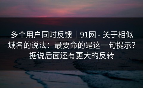 多个用户同时反馈｜91网 - 关于相似域名的说法：最要命的是这一句提示？据说后面还有更大的反转