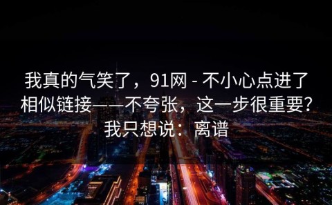 我真的气笑了，91网 - 不小心点进了相似链接——不夸张，这一步很重要？我只想说：离谱
