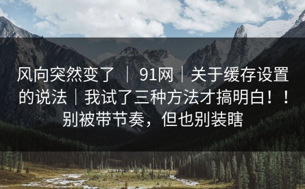 风向突然变了 ｜ 91网｜关于缓存设置的说法｜我试了三种方法才搞明白！！别被带节奏，但也别装瞎
